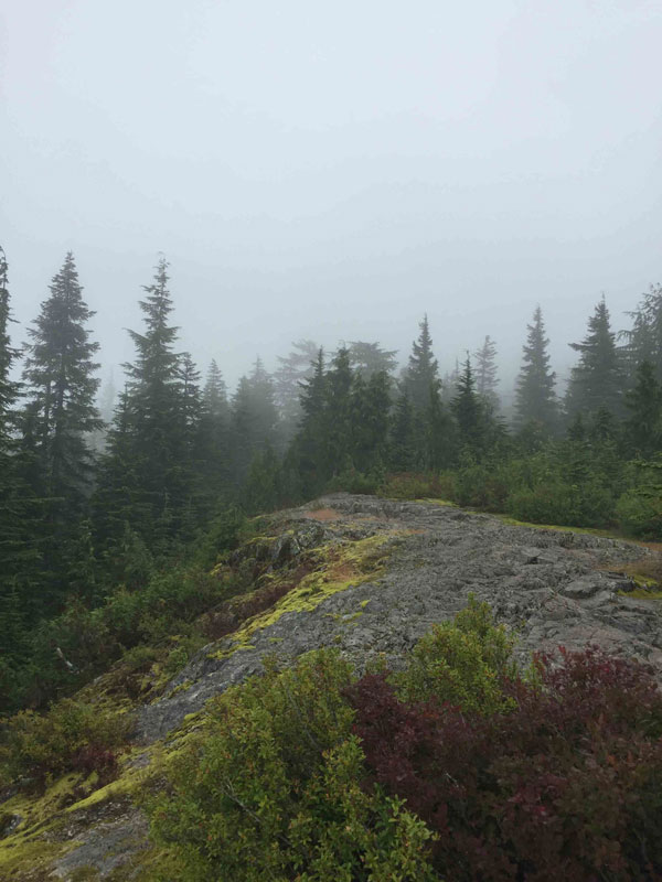 Dog Mountain Peak view