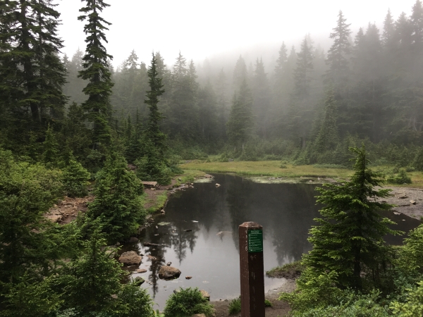 Dog Mountain Pond