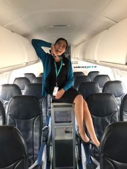 Flight Attendant